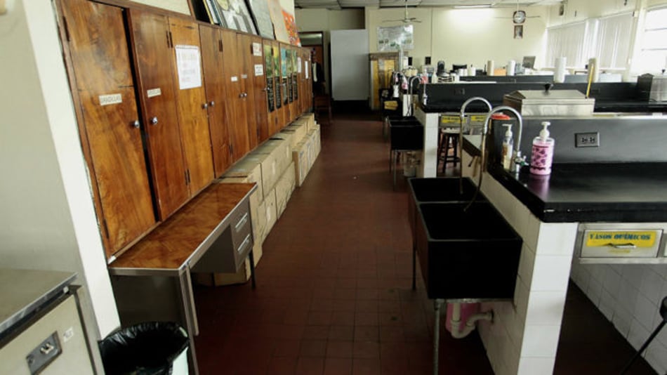 El Antro de los Gatos Negros