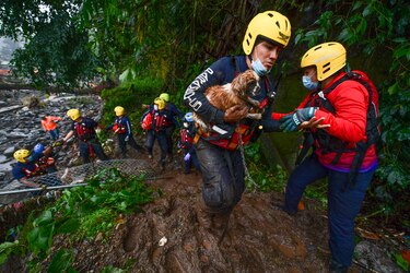 Lluvias dejan en Chiriquí cinco muertos, dos desaparecidos y más de mil personas afectadas