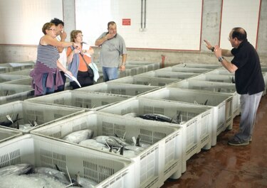 Ecuador utilizará satélite para frenar pesca ilegal