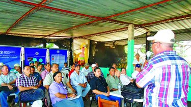 Ganaderos buscan incrementar la producción láctea