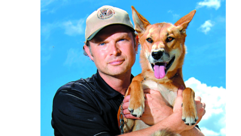 Dingos y otras mascotas exóticas