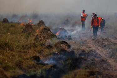 Argentina extiende estado de emergencia forestal