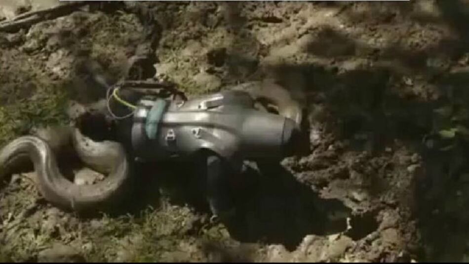 Anaconda y presentador sobreviven a documental de televisión para proteger Amazonía