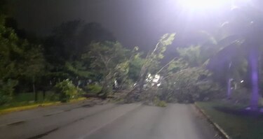 Huracán Zeta toca tierra cerca de Tulum en el Caribe mexicano