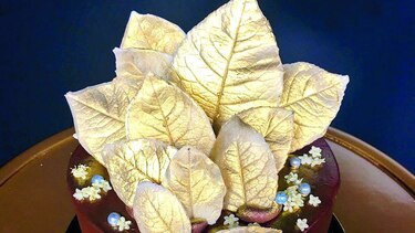 COCINA GOURMET: Con el sabor casero