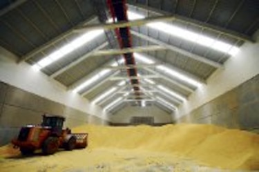 Agronoticias La descarga de granos será expedita