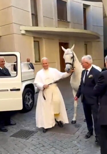 El papa León XIV recibe un caballo árabe pura sangre de 12 años que será subastado para ayudar a los pobres