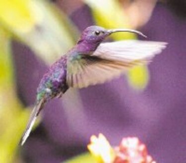 Con un estilo propio