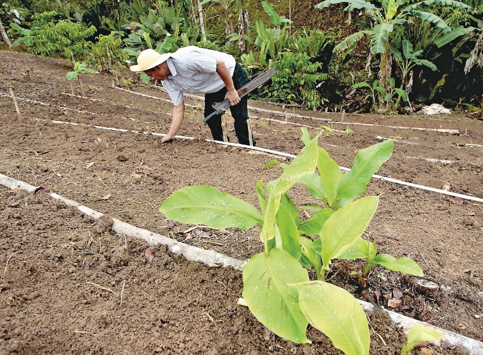 Pandemia adelanta 30 años el reto alimentario