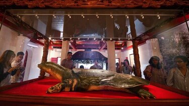 Una tortuga sagrada es embalsamada para la eternidad en Vietnam