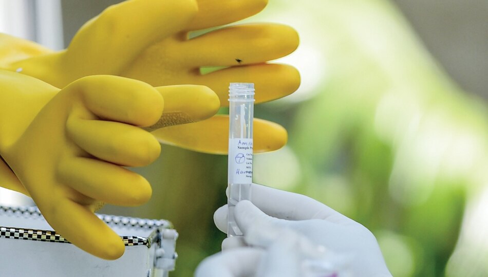 Validación de pruebas serológicas, en las manos del Gorgas