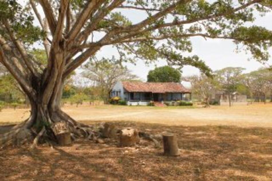 Cine vuelve a mirar a Panamá