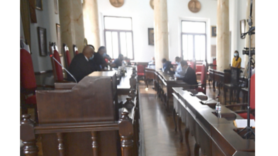 Ediles rechazan propuesta que fomentaba huertos urbanos