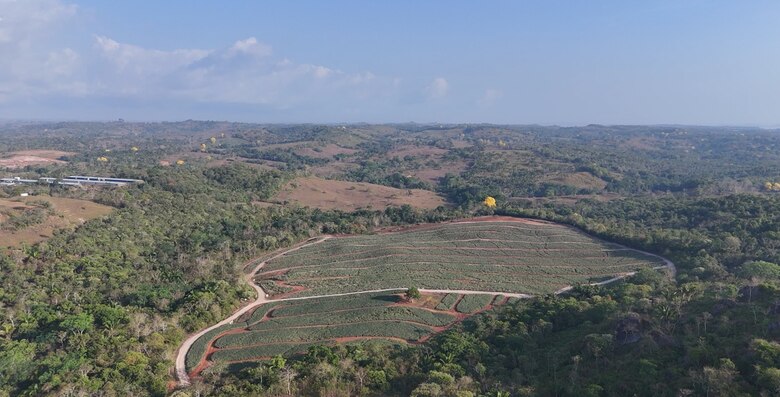 Entre piñas, política y disputa de tierras: la finca secreta vinculada al diputado Roberto Ayala