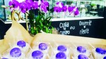 Cocina gourmet: Mezcla de sabores e ingredientes