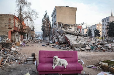 Turquía suspende las operaciones de rescate tras el terremoto salvo en dos provincias