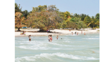 Cuba toma acciones para frenar erosión de sus playas