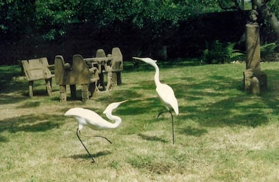 El señor de las garzas