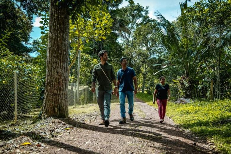 El café guardián del agua 
