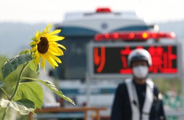 Arte para olvidar el dolor por la tragedia que causó el tsunami en Japón