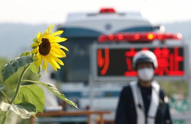 Arte para olvidar el dolor por la tragedia que causó el tsunami en Japón
