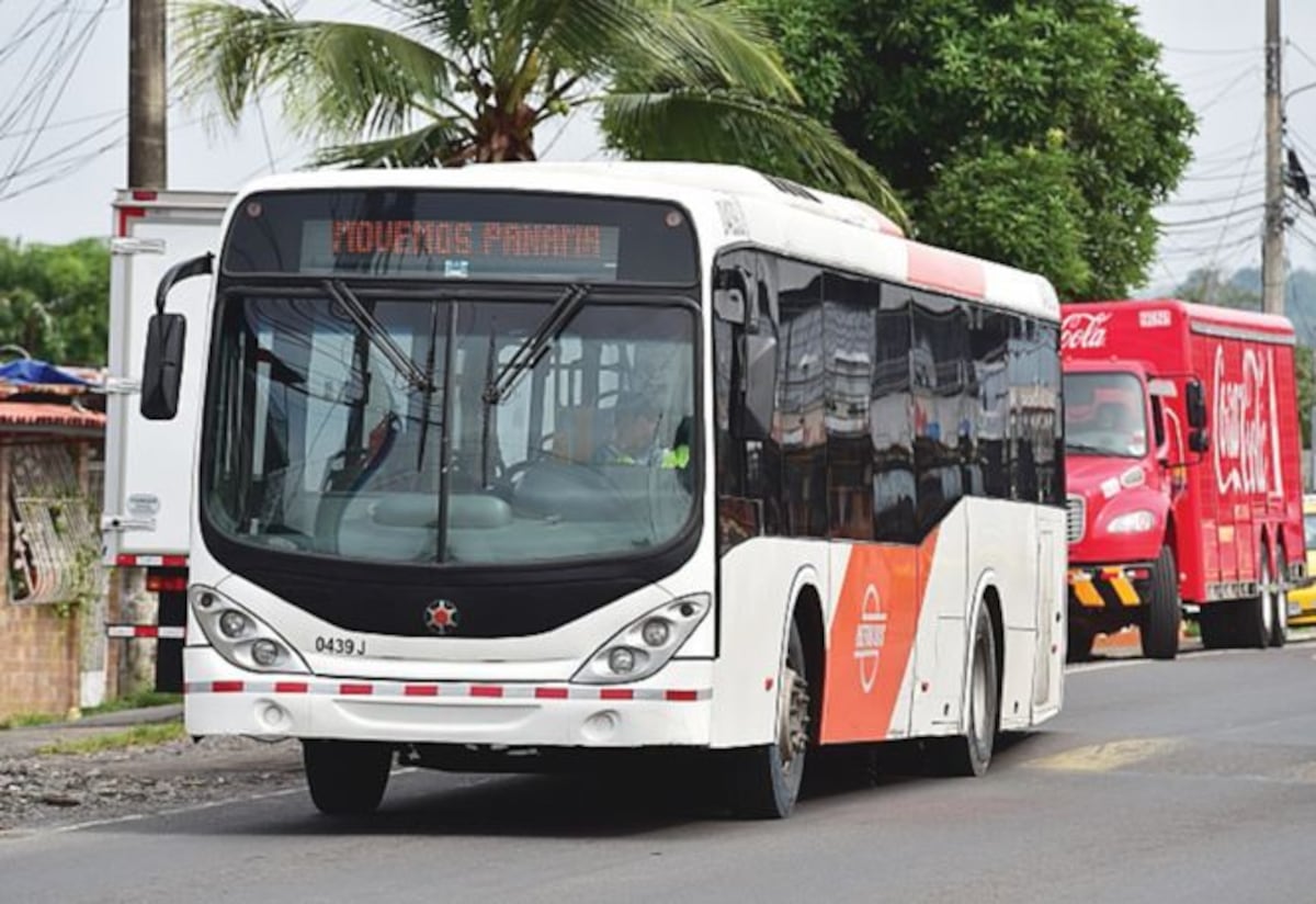 Delinean alternativas de transporte para garantizar viabilidad