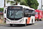 Delinean alternativas de transporte para garantizar viabilidad