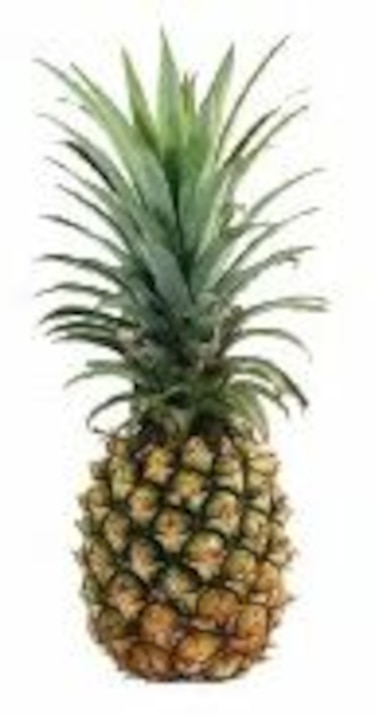 Frutas de la época