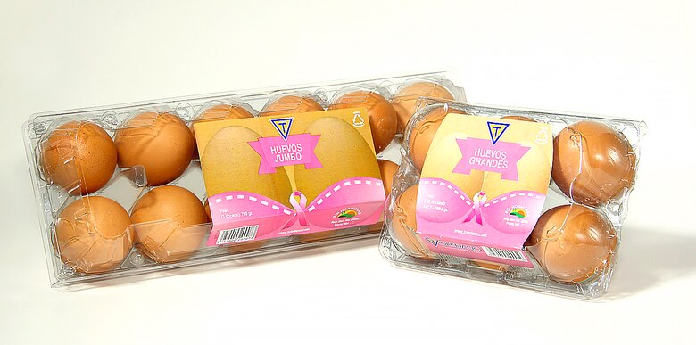 ¡Feliz Día Mundial del Huevo, les desea Huevos Toledano!