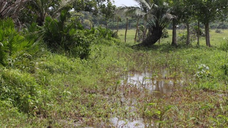 Tras las huellas del pasado en Chinina