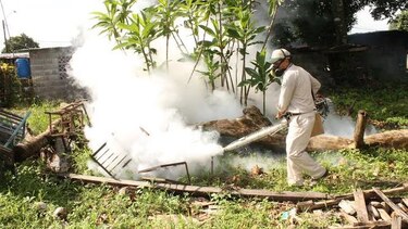 Gabinete evaluará esta semana medidas por virus zika