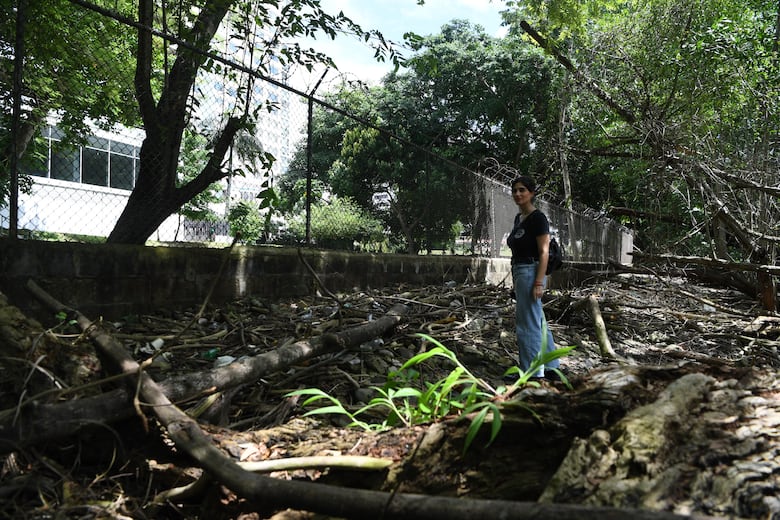 San Francisco contará con acceso peatonal ecológico al Coco Parque