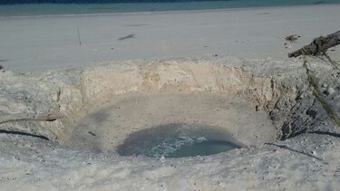 Revisarán áreas públicas de Isla Iguana