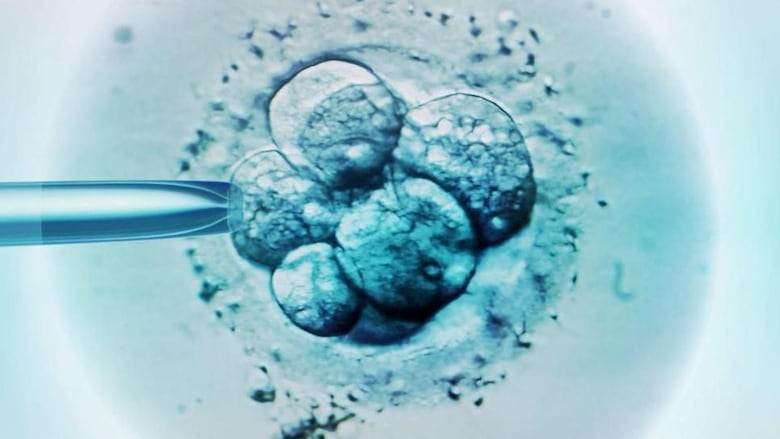 Bebés de 3 personas: los 8 niños que nacieron libres de enfermedades hereditarias en Reino Unido gracias a un método genético pionero