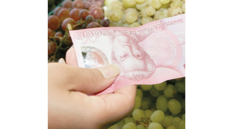 Chile registra inflación similar a la de 2007