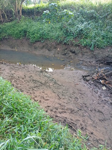 La contaminación del río San Pablo en Soná