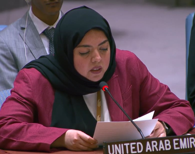 En vivo: Continúa el debate sobre la seguridad marítima, liderado por Panamá en el Consejo de Seguridad de la ONU