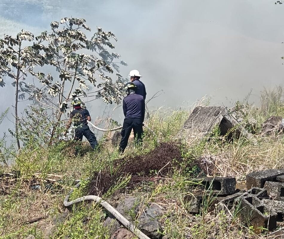 Tras cinco horas de trabajo Bomberos controlan incendio de herbazal cerca de cerro Patacón