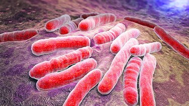 Batalla contra la sepsis
