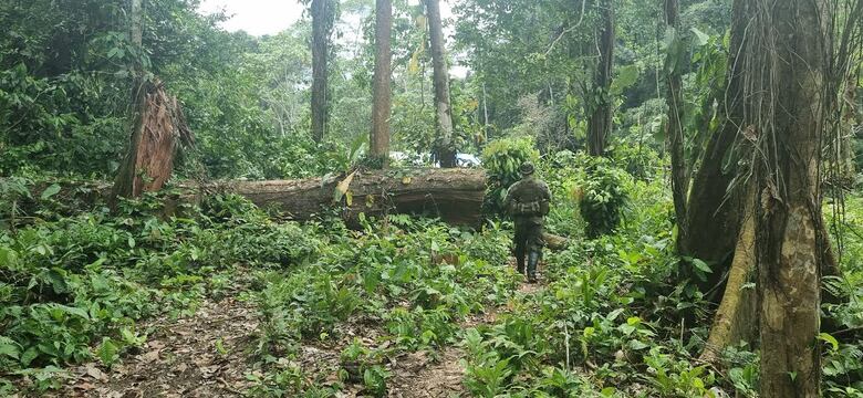 Alias ‘Monseñor’: la mente criminal detrás del tráfico de migrantes, oro y drogas en Darién