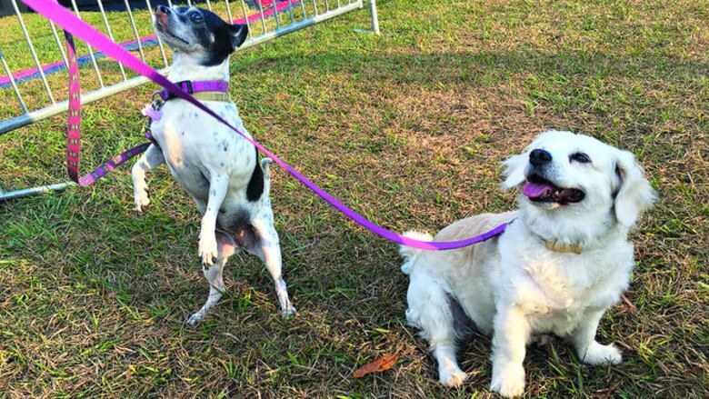 Orión, el futbolista
