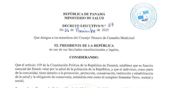 Cannabis medicinal: crean Consejo Técnico, pero falta el registro de pacientes