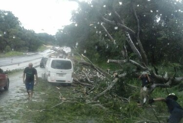 Lluvias dejan inundaciones, árboles caídos y deslizamientos en varios sectores del país