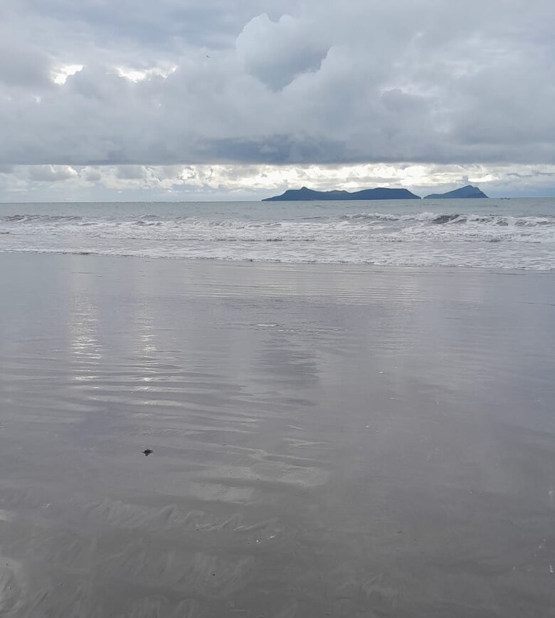 Liberación de tortugas en Punta Chame: una lección de resiliencia y conservación