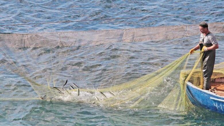Un grito de auxilio desde el mar