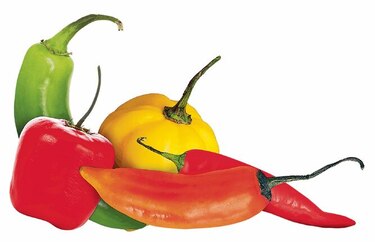 La exhibición picante del Biomuseo