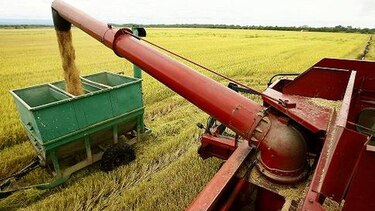 Decretos benefician a importadores
