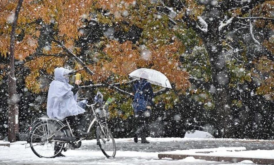 Nieva en Tokio en noviembre, lo nunca visto en 54 años