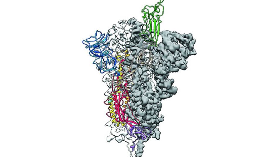 Crean mapa a escala atómica del coronavirus, clave para vacuna