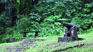 Agrupaciones por el ambiente